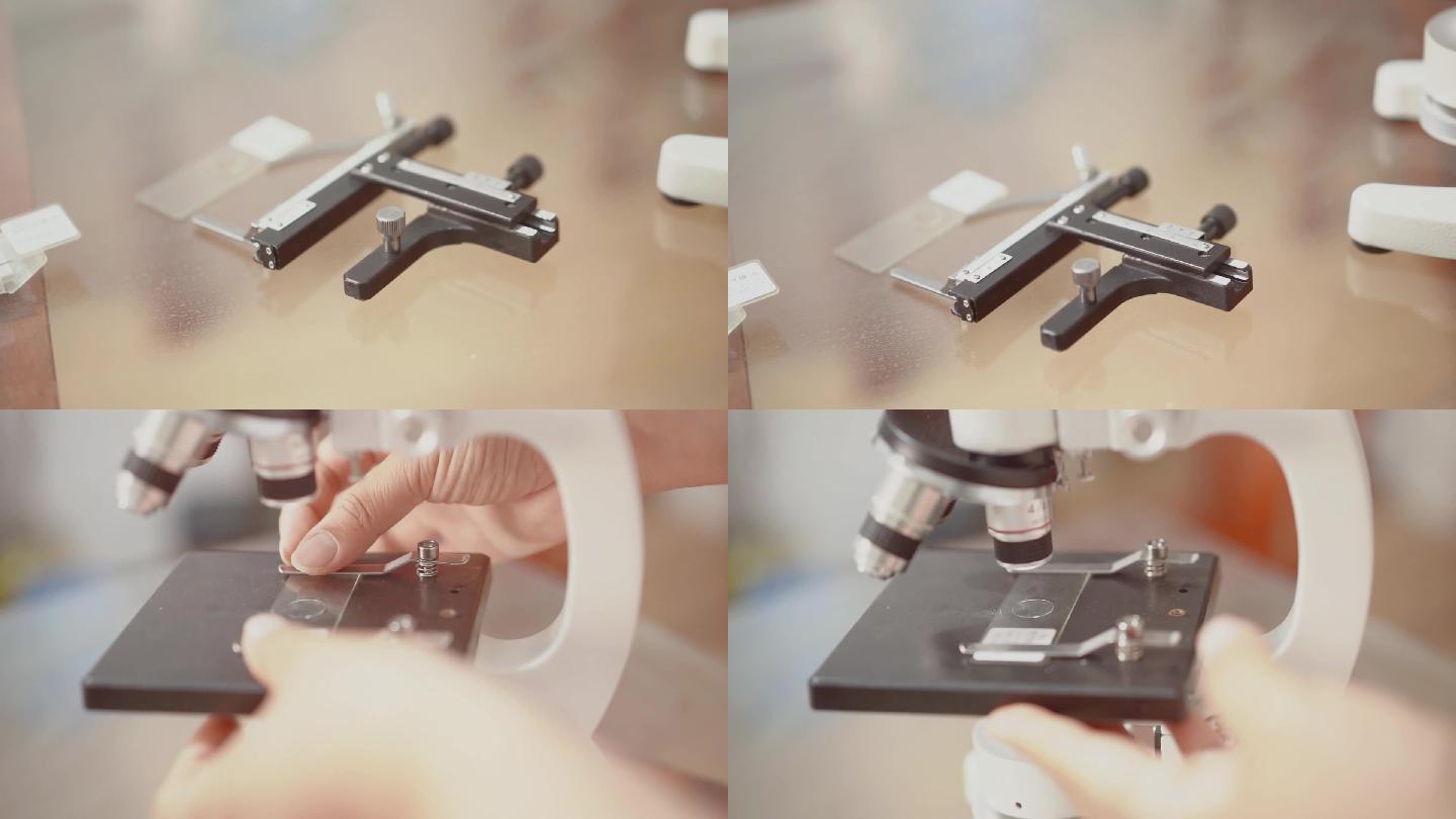 儿童 显微镜 实验量尺 样本 手部操作