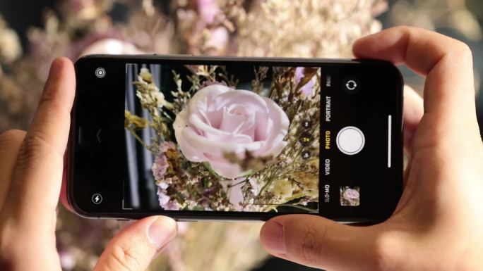 苹果手机拍摄花朵