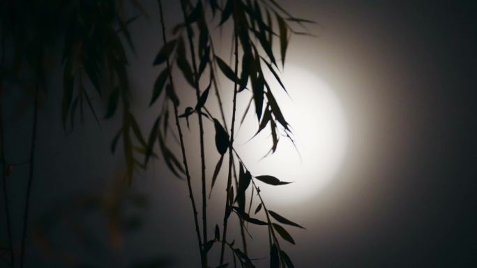 月色夜晚情绪空镜