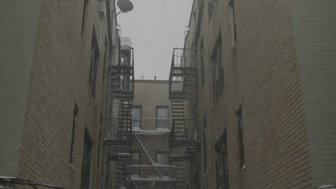 暴风雪纽约冬季后院郊区Astoria
