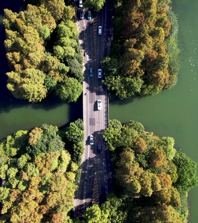 穿过湖泊和树木区域的道路鸟瞰图