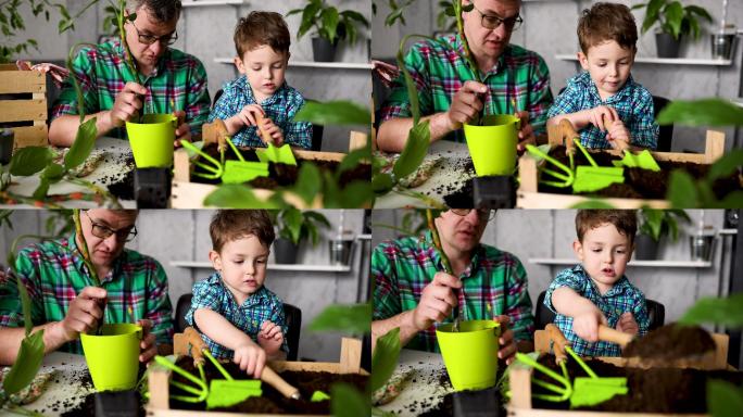 小男孩帮他父亲种盆栽植物