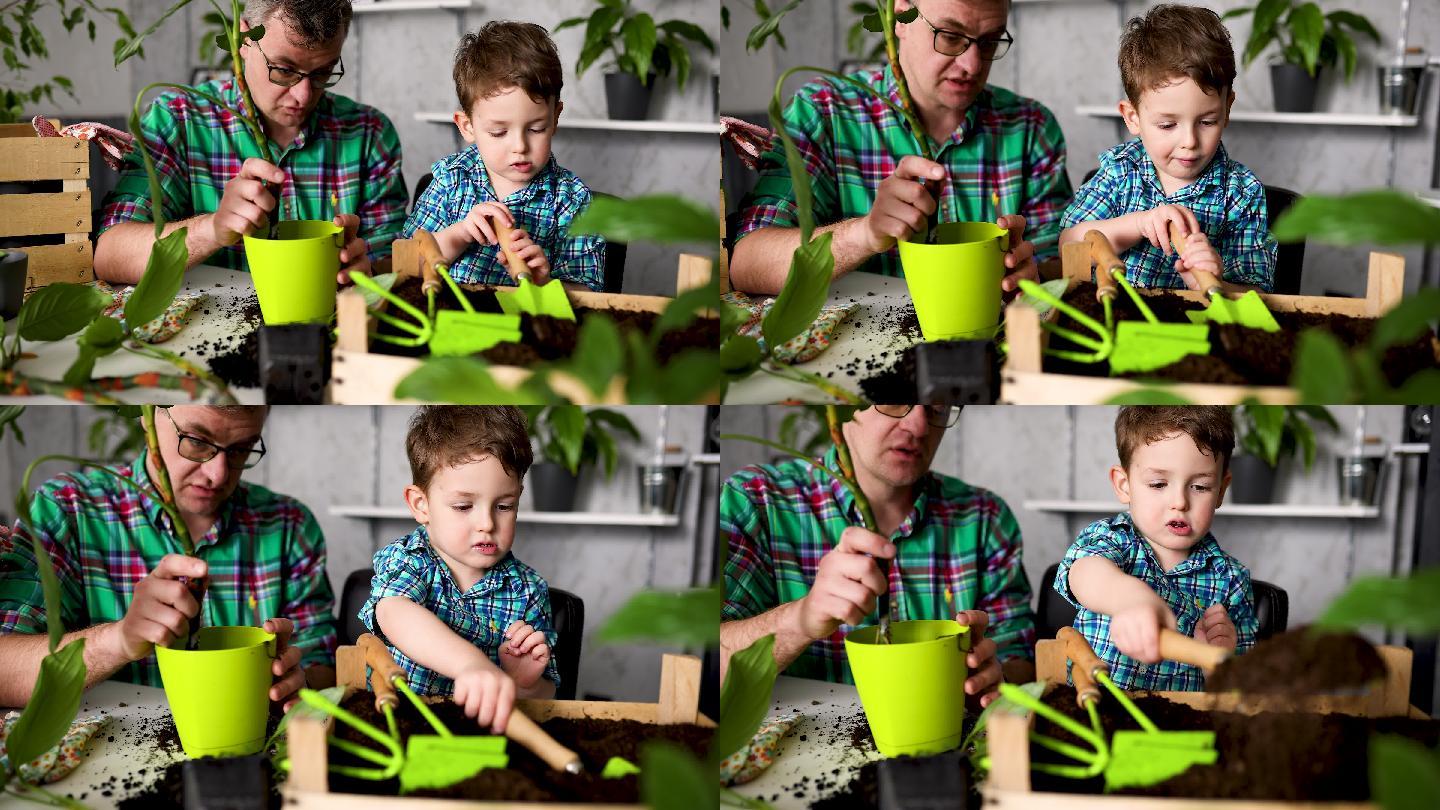 小男孩帮他父亲种盆栽植物