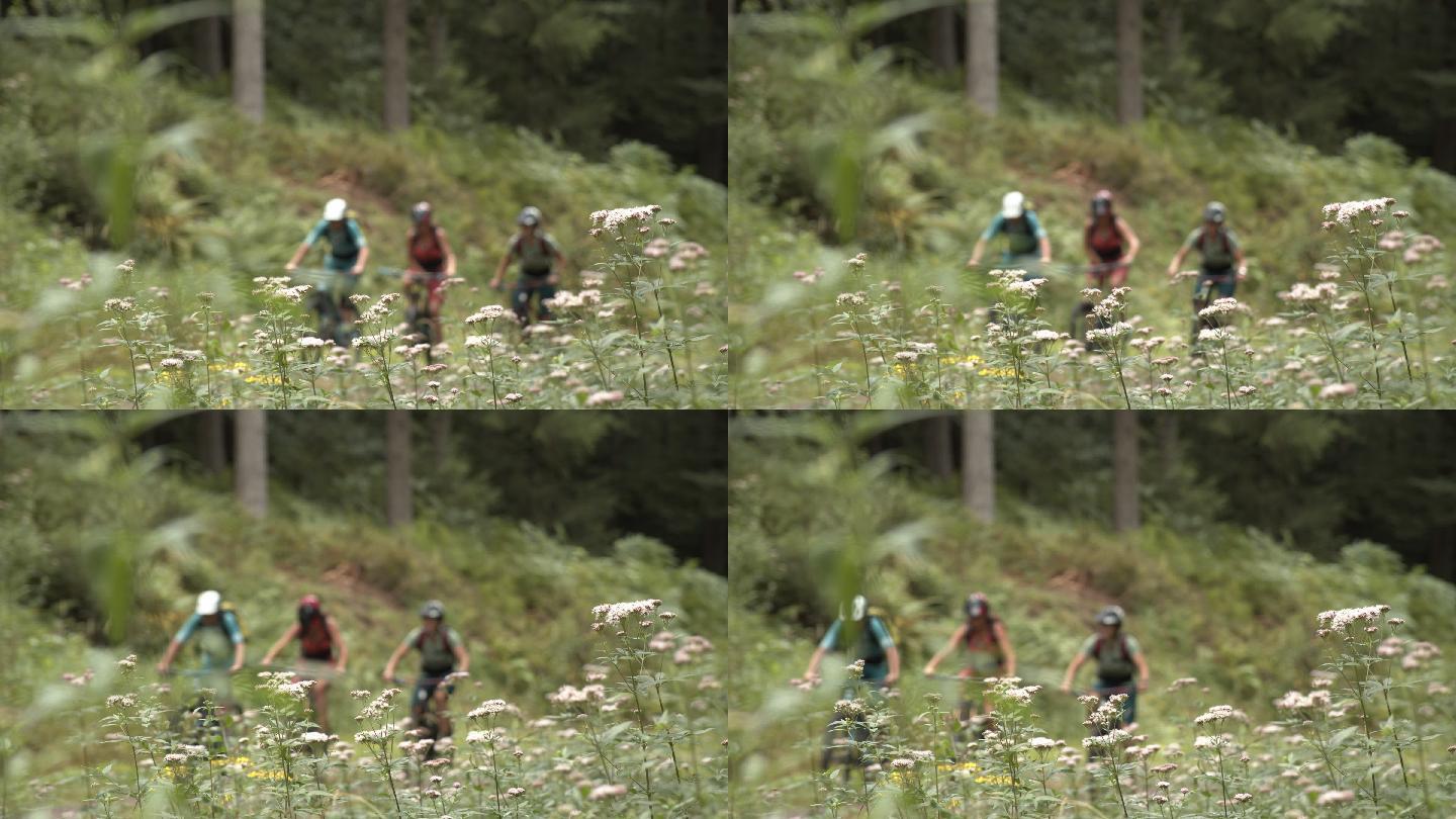 三个山地自行车手在树林里的小路上骑行