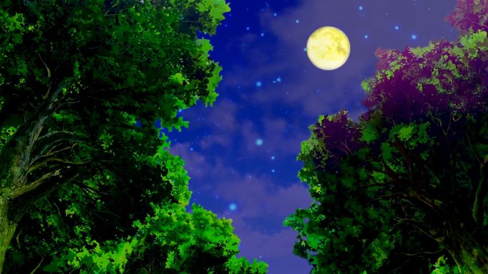 卡通野外森林树林仰视-夜晚