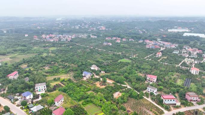 航拍湖南浏阳柏加苗木生产种植基地4