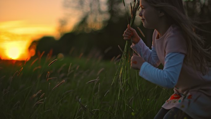 落日时分，斯洛·莫可爱的小女孩在草地上采摘野花，为自己做一束鲜花