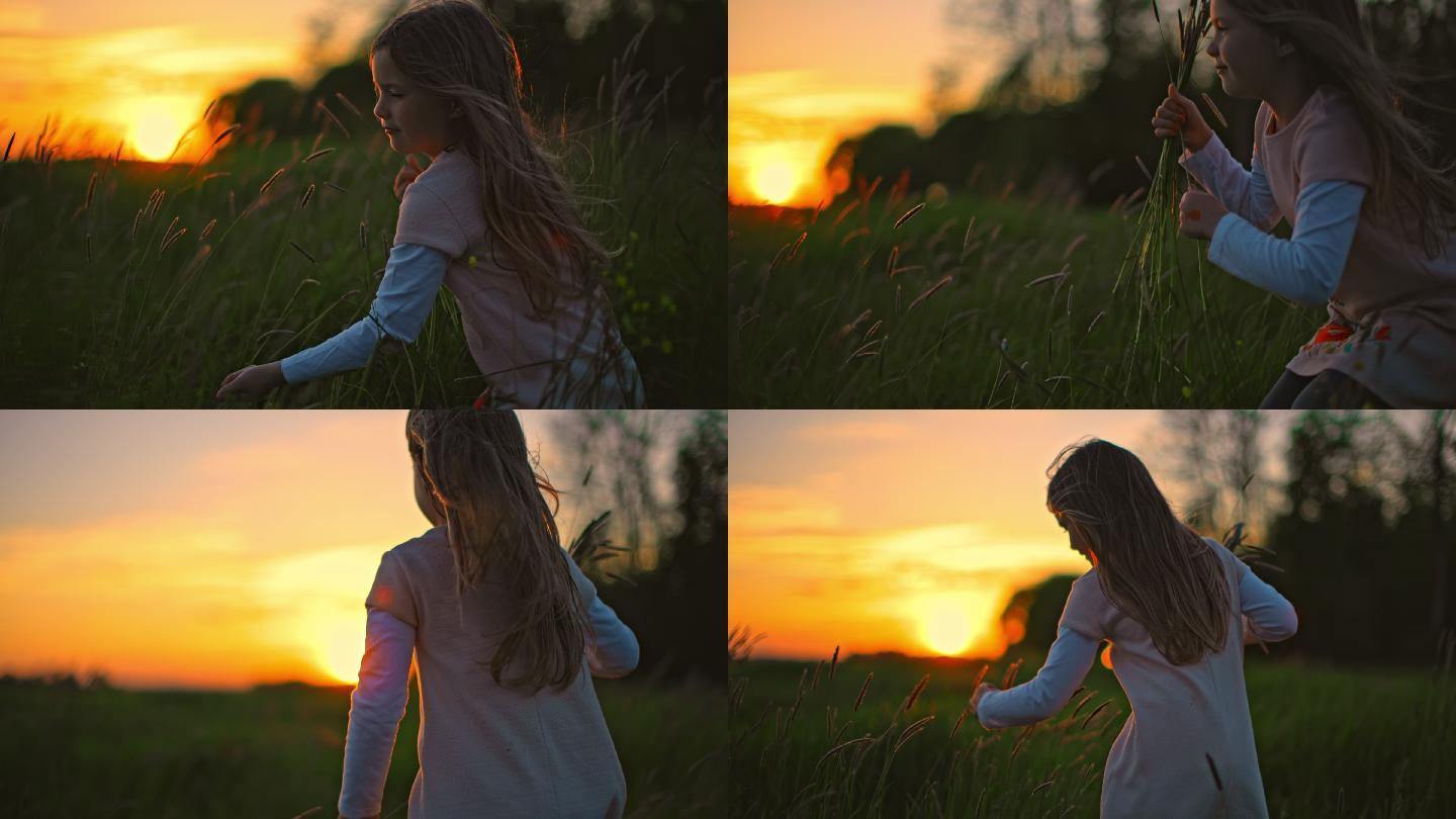 落日时分，斯洛·莫可爱的小女孩在草地上采摘野花，为自己做一束鲜花