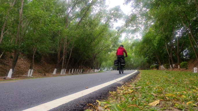 海南五指山森林道路自行车骑行