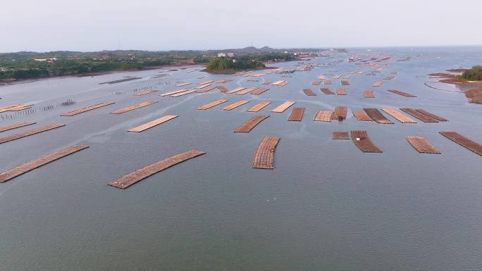 广西防城港珍珠湾养殖基地风光