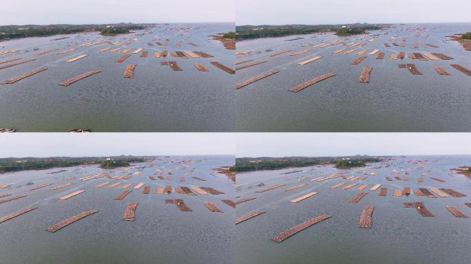 广西防城港珍珠湾养殖基地风光