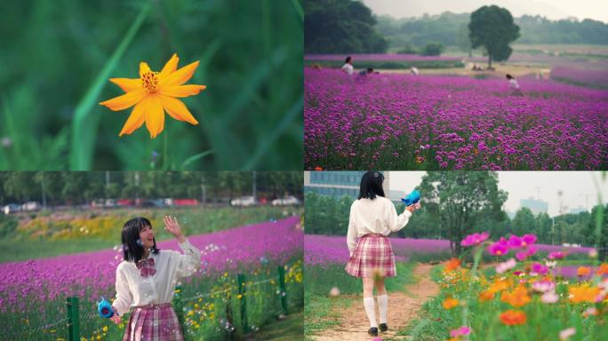 马鞭草花海jk人像互动视频成品