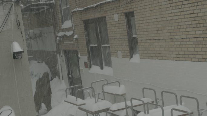 暴风雪纽约冬季后院郊区阿斯托里亚巷