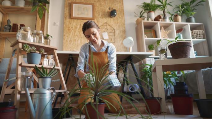 室内植物护理员有机肥料施肥养分供给