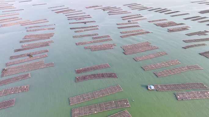 广西防城港珍珠湾养殖基地风光