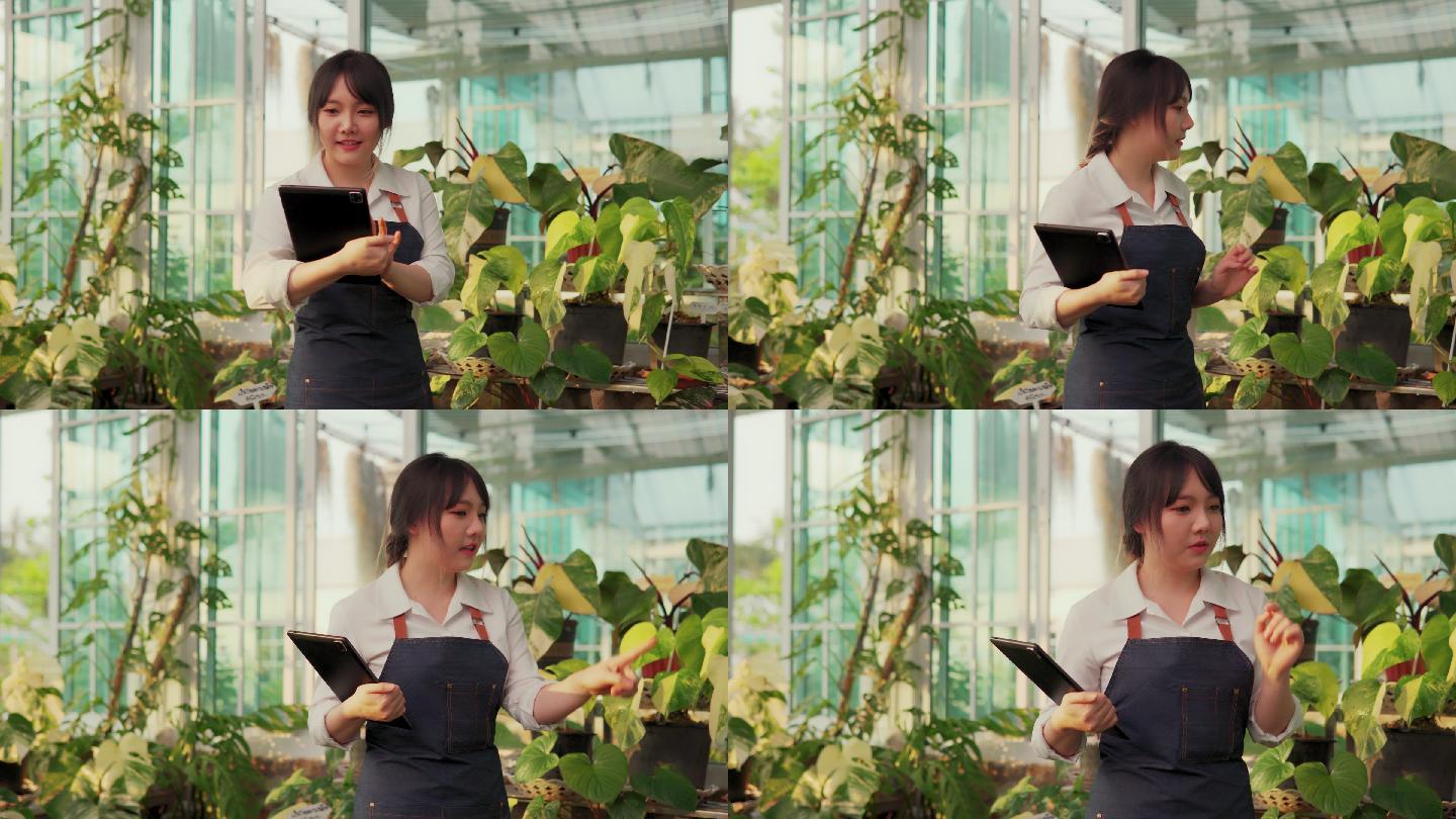 作为小企业主的企业家女孩，她在植物店、温室、树木店工作