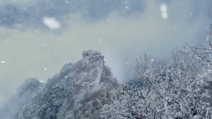 沁园春雪