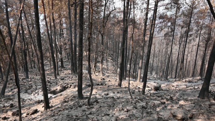 土耳其烧毁的森林、村庄和农村地区