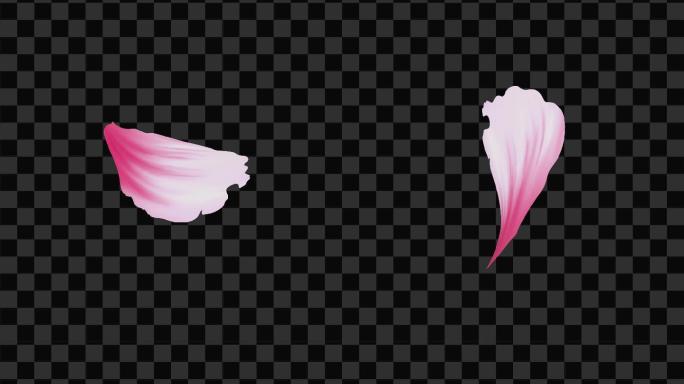 4款粉色牡丹花瓣-无缝循环带透明通道