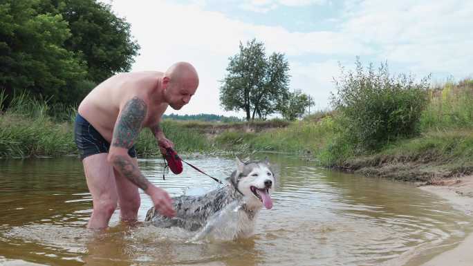 宠物的主人在河里给狗洗澡。