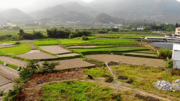 福建厦门灌口田园风光