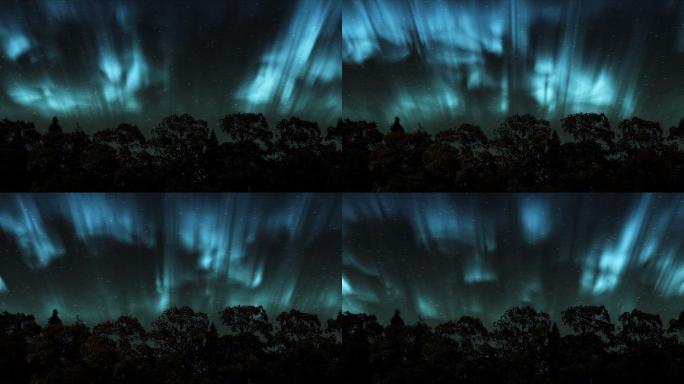 冬季森林上的北极光-延时北极光（北极光）