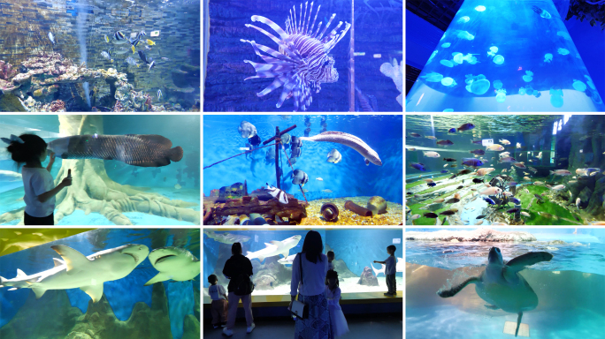 海底世界C水族馆