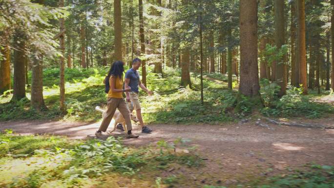 丈夫和妻子在森林里和他们的狗徒步旅行时聊天