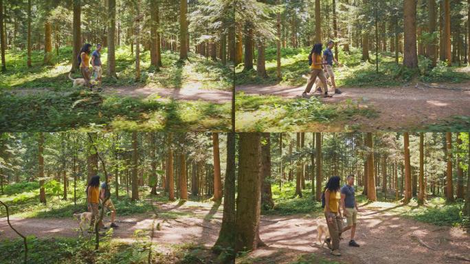 丈夫和妻子在森林里和他们的狗徒步旅行时聊天