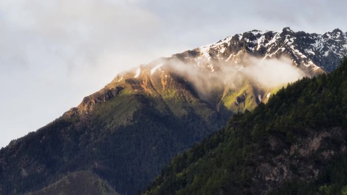 森林大自然流水风景山水自然山川云海