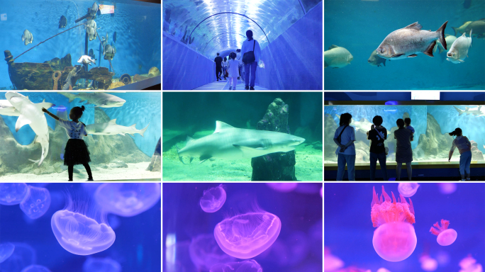海底世界A水族馆