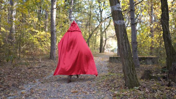 小红帽在森林里散步