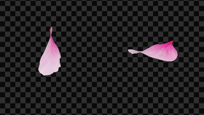 4款粉色桃花瓣-无缝循环带透明通道