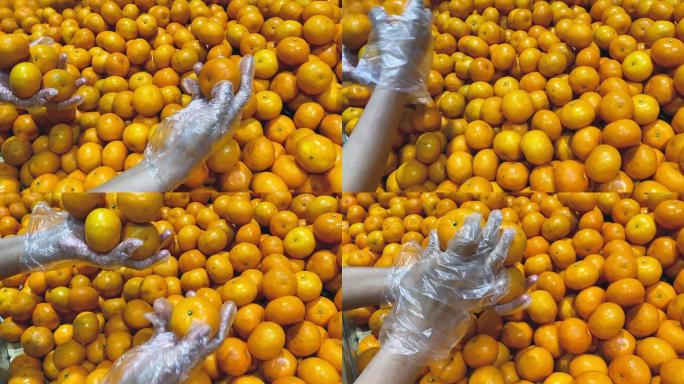 帮助人们戴着手套去买橘子。