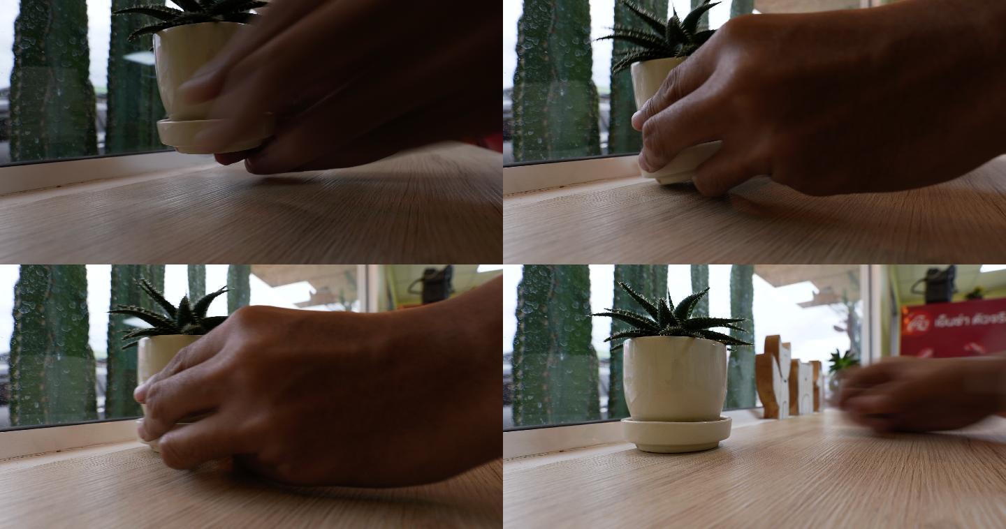一个男人用手把芦荟花盆放在桌子上。