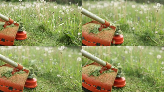 汽油草坪修剪机在阳光明媚的春天在后院割草和野花
