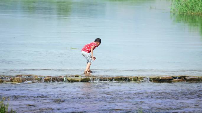 儿童在河道里抓鱼