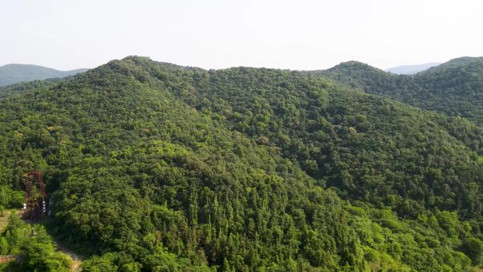 宝华山 宝华山森林公园