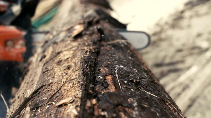用链锯以超慢动作切割木材。