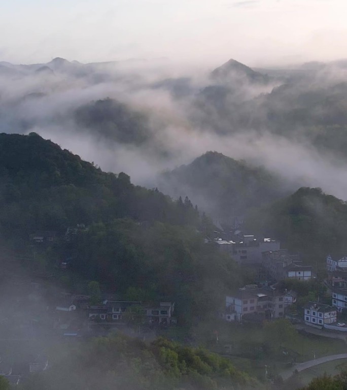 竖屏航拍贵州百里杜鹃普底景区云雾缭绕