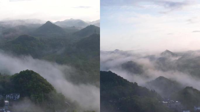 竖屏航拍贵州百里杜鹃普底景区云雾缭绕