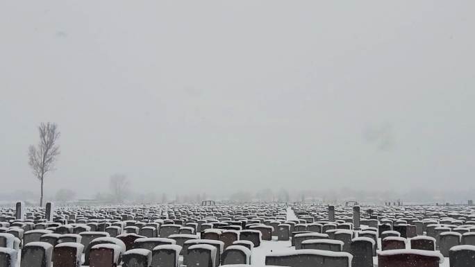 黄昏暴风雪下的广阔墓地