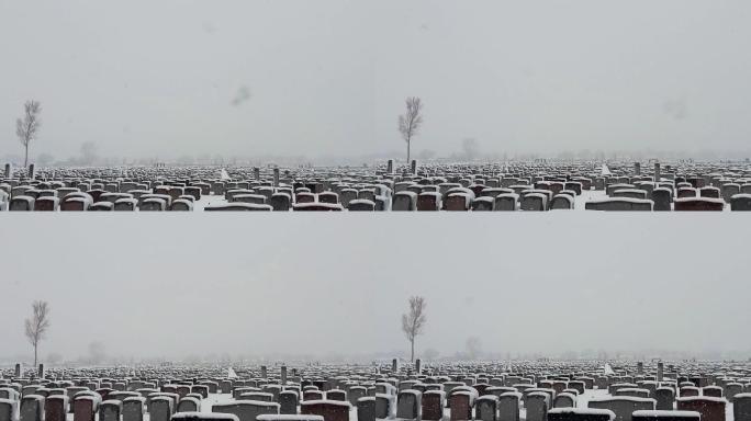 黄昏暴风雪下的广阔墓地