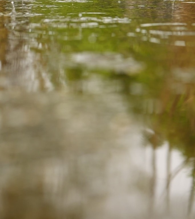 竖版唯美雨景