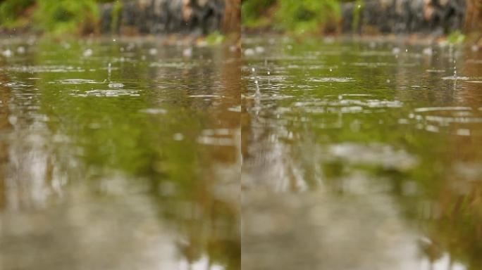 竖版唯美雨景