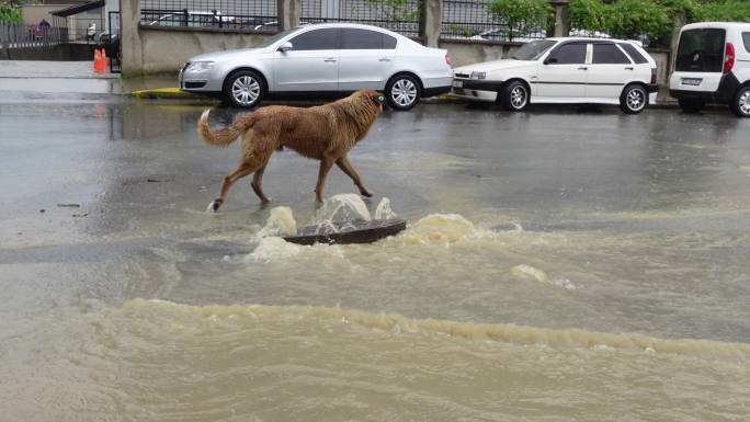 大雨导致污水外溢-城市洪水