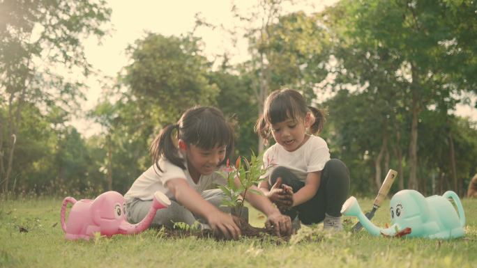 两个亚洲女孩在植树、铲土和浇水。亚洲兄弟姐妹笑得很开心