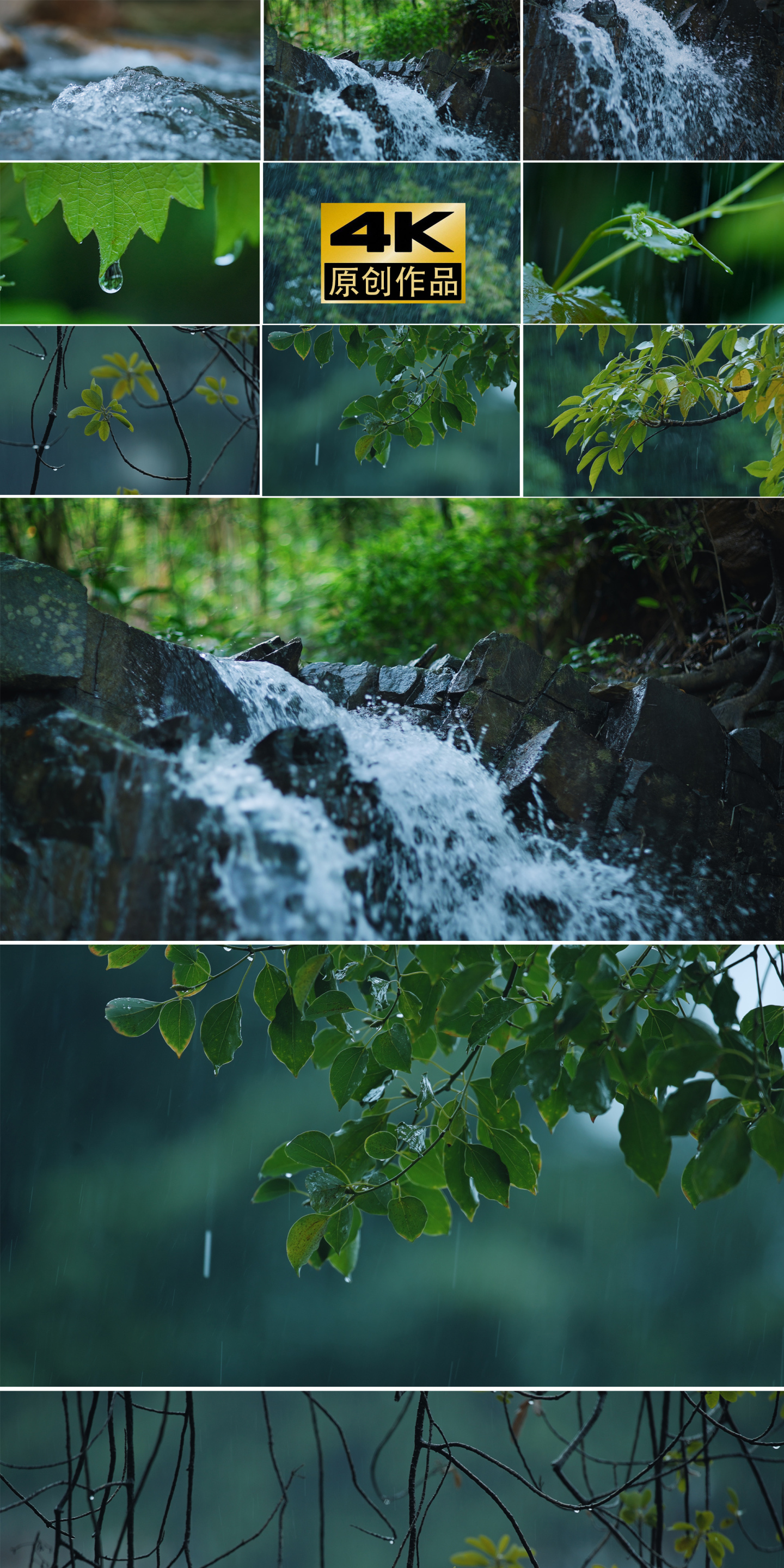 水大自然原始森林雨滴森林下雨天河流山瀑布