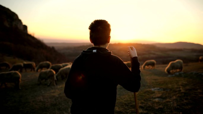 一群羊和十几岁的牧羊人，黄昏时在山上吃草