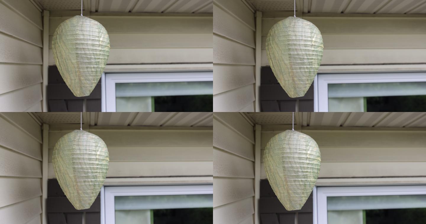 夏季家中室外的人工黄蜂巢
